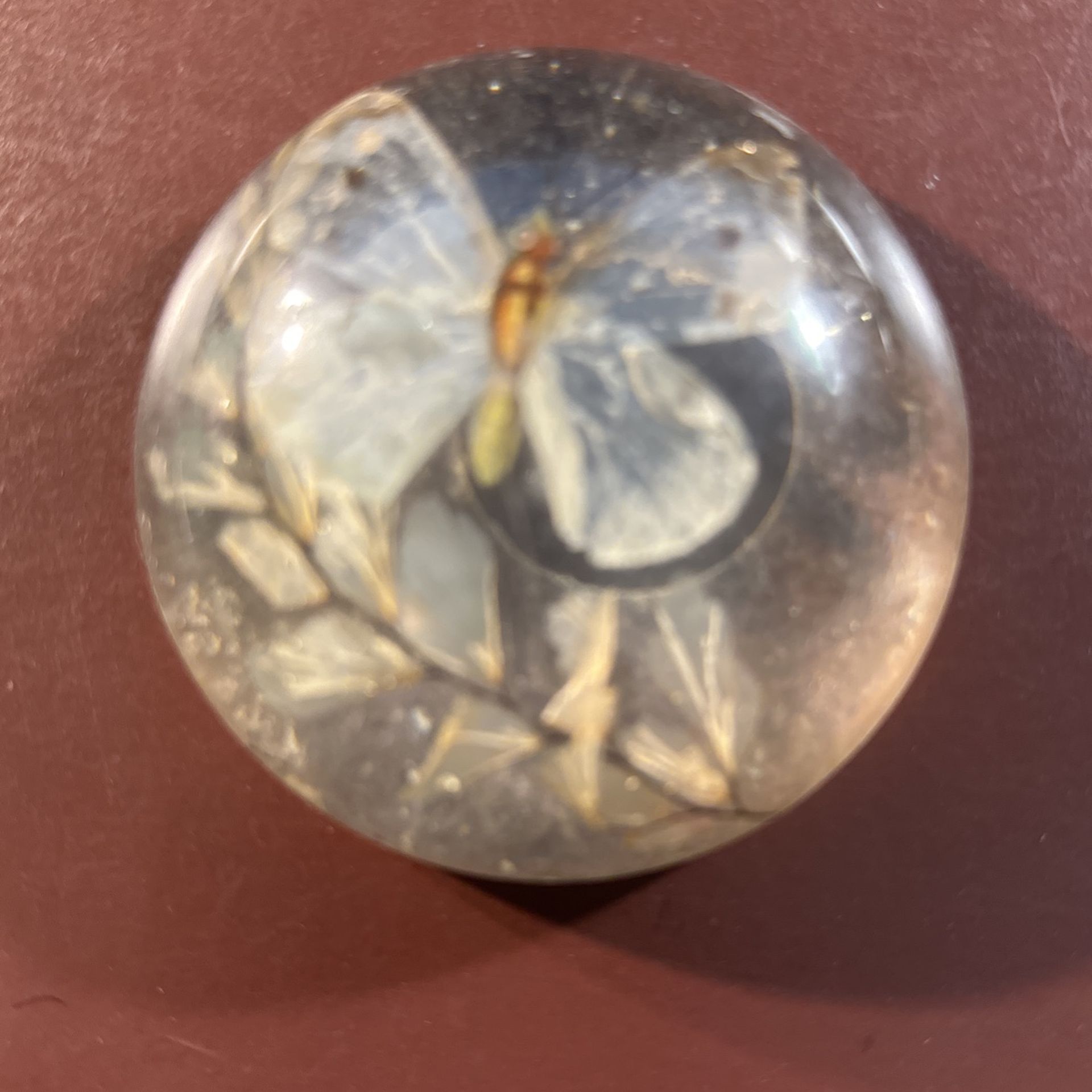 Vintage Paper Weight - Moth & Leaf