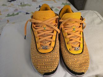 Lebron James Basketball Shoes.