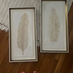 Feather Picture Frames