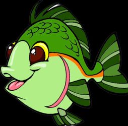 Freshwater Fish Tank Help.
