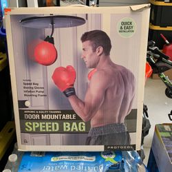 Door Mountable Speed Bag $15