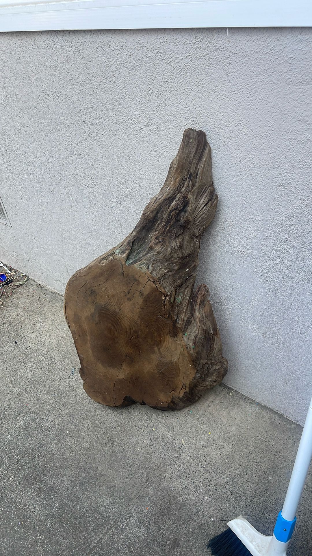 Piece Of Wood For Decor Or Art