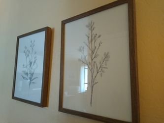 Beautiful Botanical Framed Wall Art