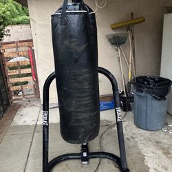 Everlast Punching Bag And Stand 