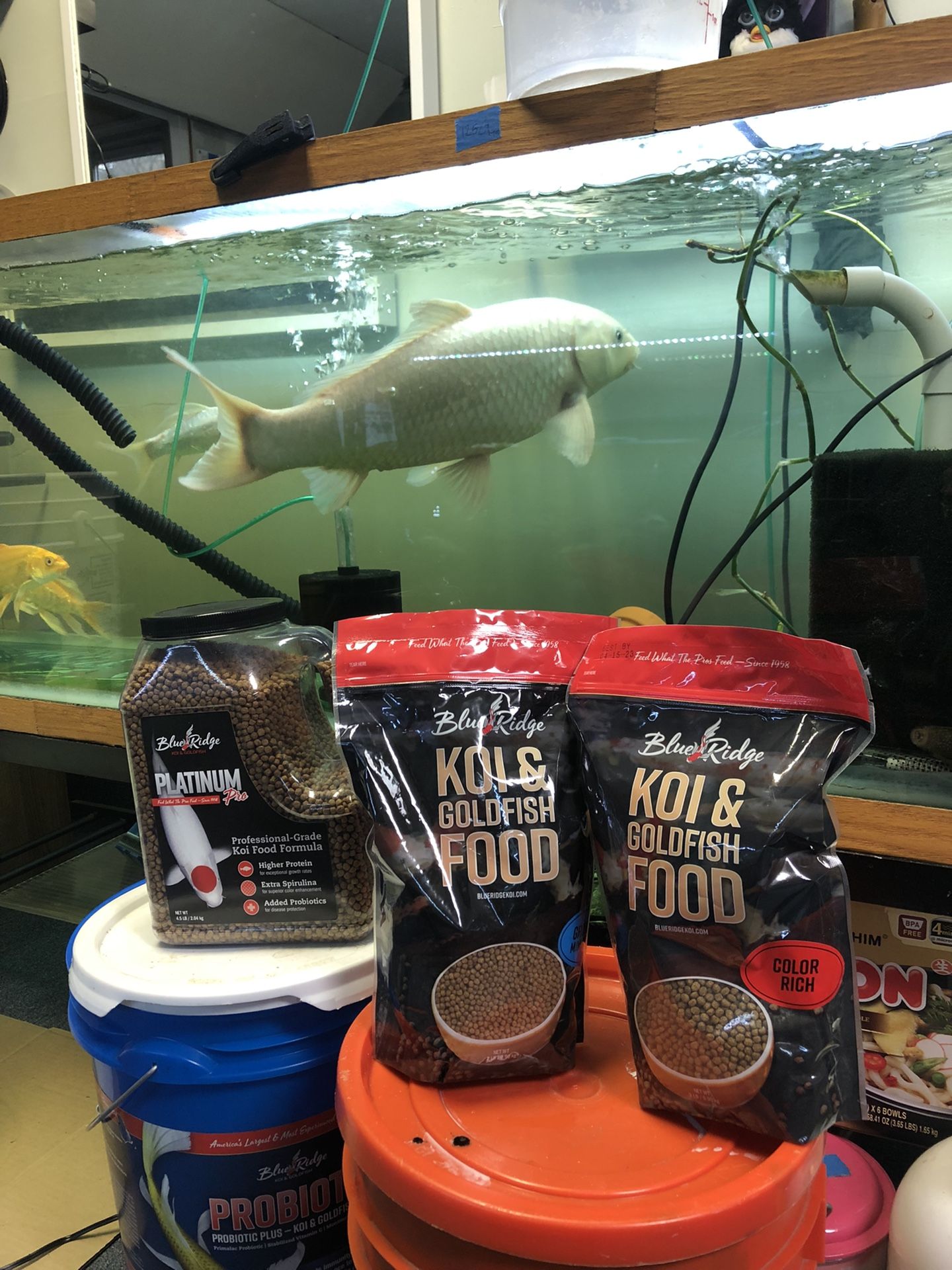 Premium Koi Food