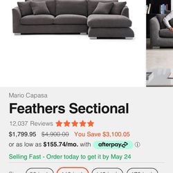  Sectional Couch (Washable)