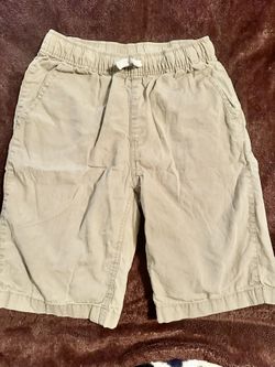 Khaki Shorts 