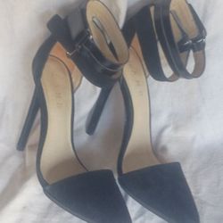 Lamb Black Heels for Women
