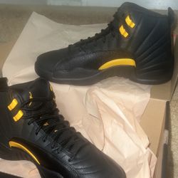 Air Jordan 12 Retro 