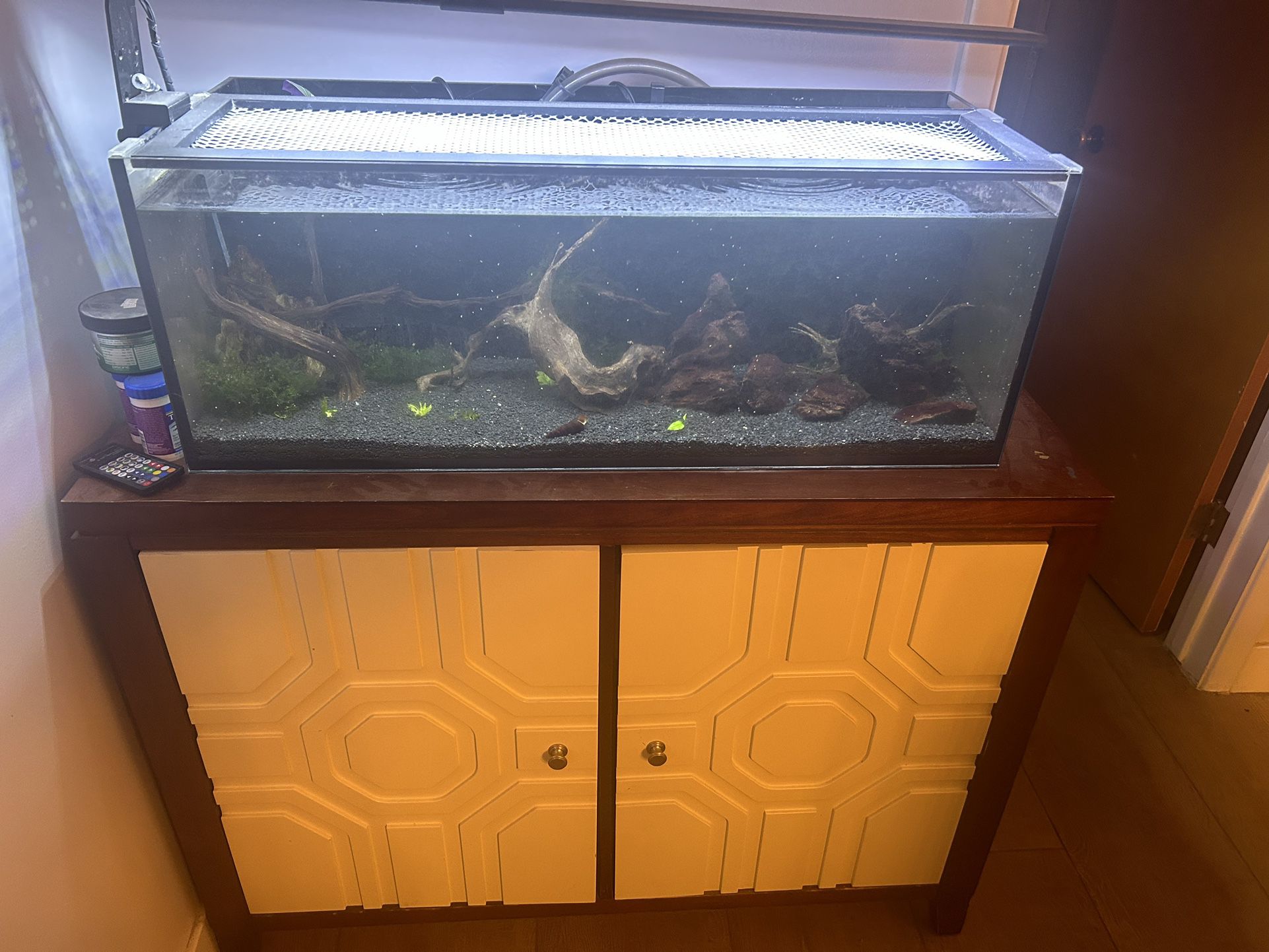 Nuvo Fusion 30 Gallon Long All In One Fish Tank