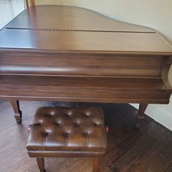 professional piano