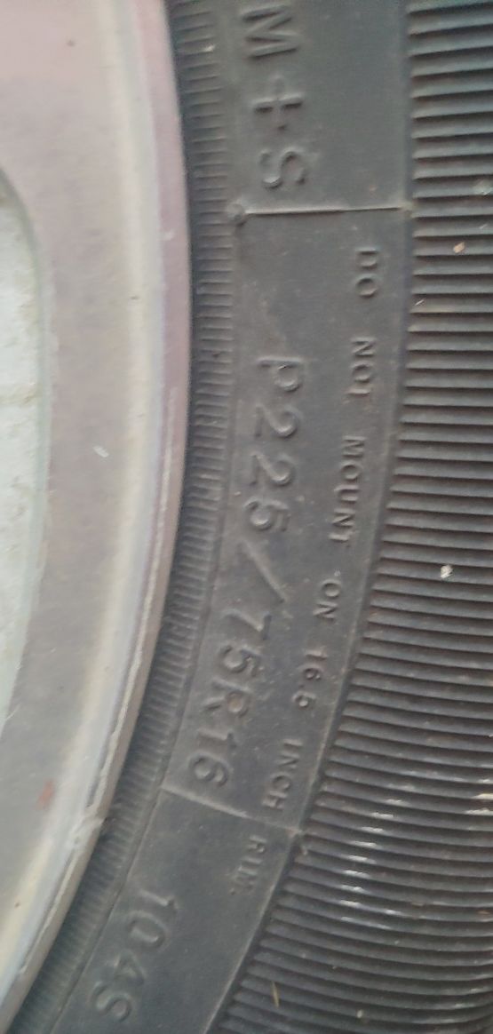 Good year I got 2 of them