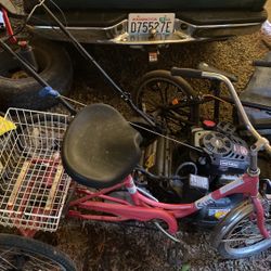 Trike Bike