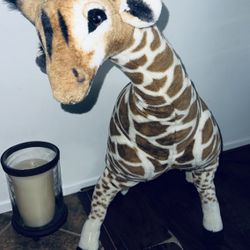 Giraffe Stuffed Animal 🧸 