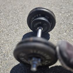 Weights   Lot