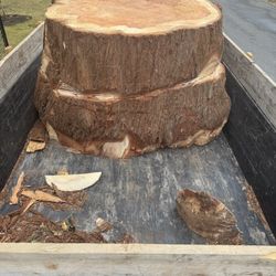 Massive Redwood Sequoia Trunk Delivered