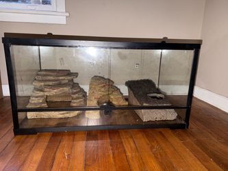 40 gallon tank