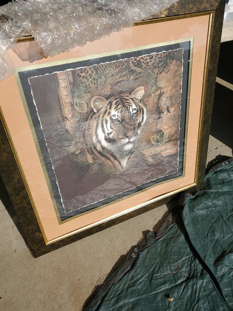 Fancy 36x36 Tiger Picture Frame