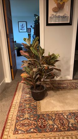 3 feet tall Garden Croton—artificial