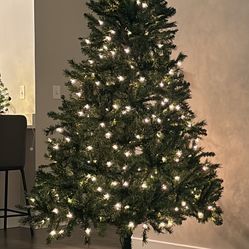 Christmas Tree With White Collar 