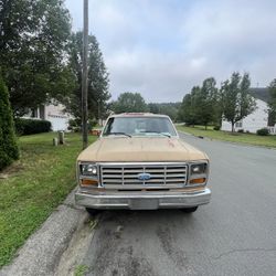 1983 Ford F-150 Bull Nose 