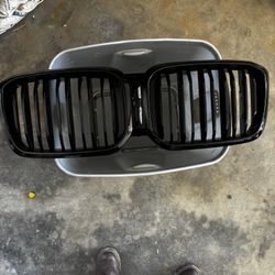 BMW Front Grill