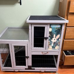 Rabbit Cage 