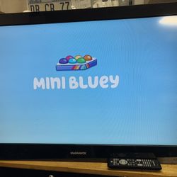 37” Magnavox TV/Monitor