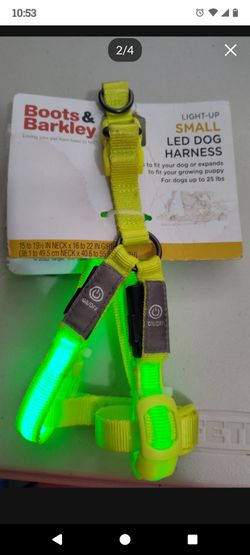 New LED dog harness from Target 🎯