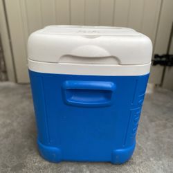 Igloo Cooler/Ice Chest 