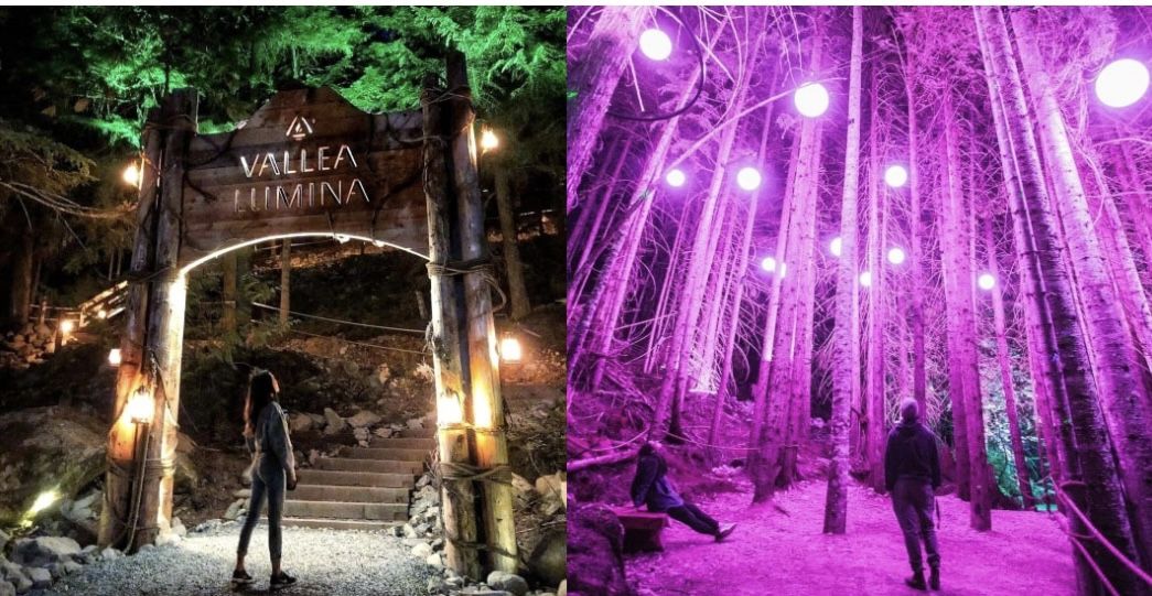 Vallea Lumina Winter Lights Adult Ticket