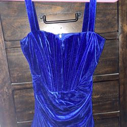 Velvet Ruched Dress