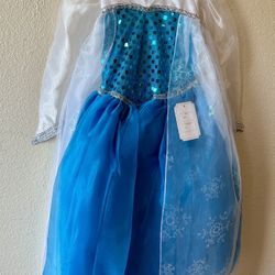 Elsa Frozen Princess Dress