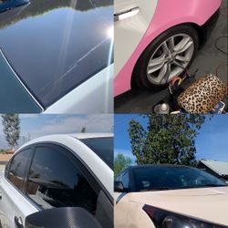 Vehicle Wrap