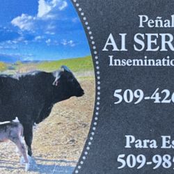 Insemination Servies 