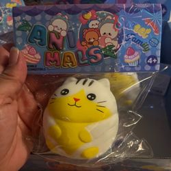 Squishy cats stretchy