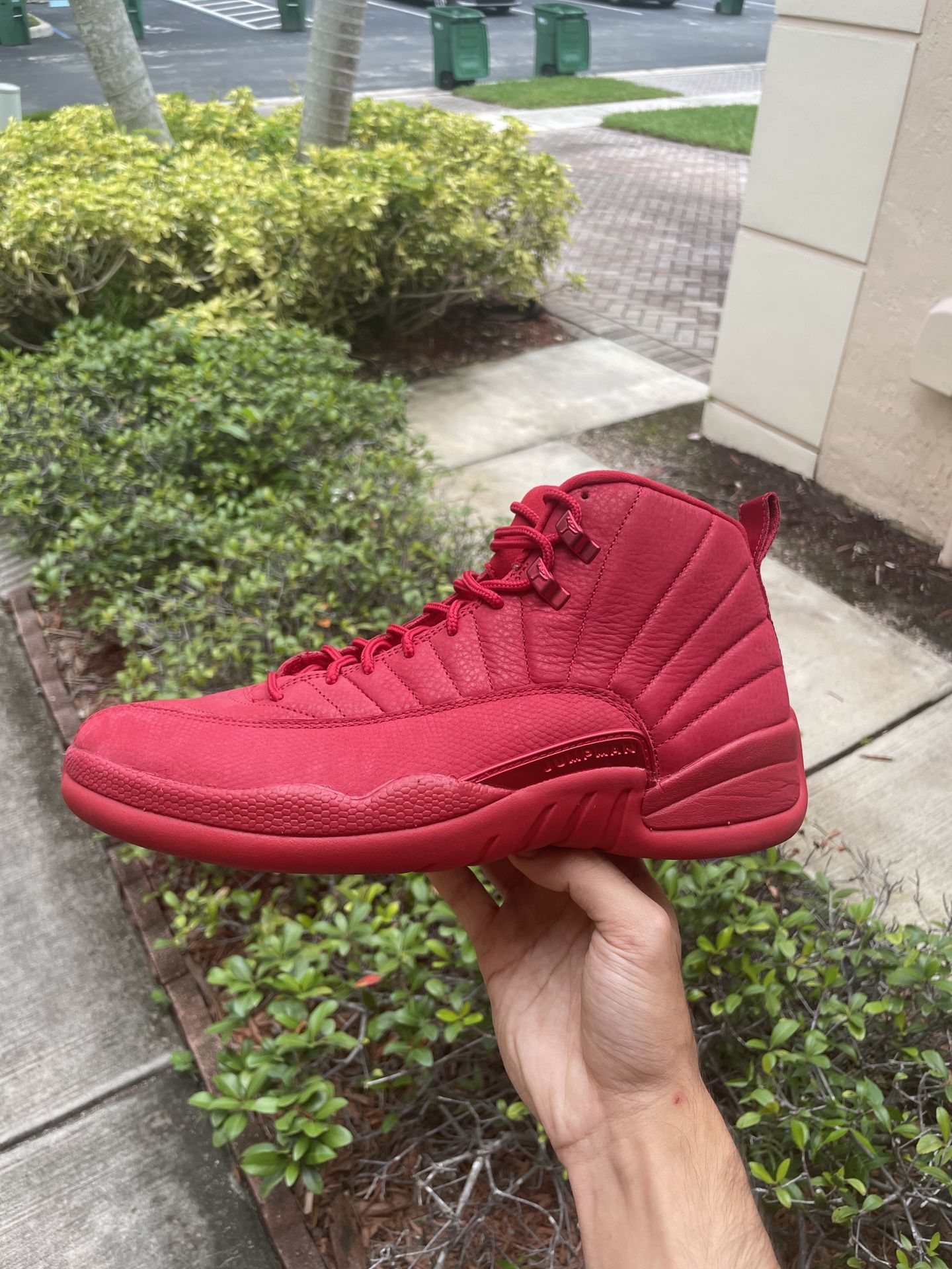 Nike Air Jordan 12 (2018) Gym Red Size 10 PADS