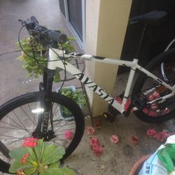 Avasta Mountain Bycicle