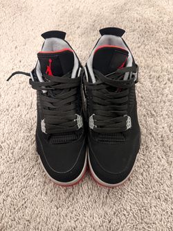 Bred 4 for sale