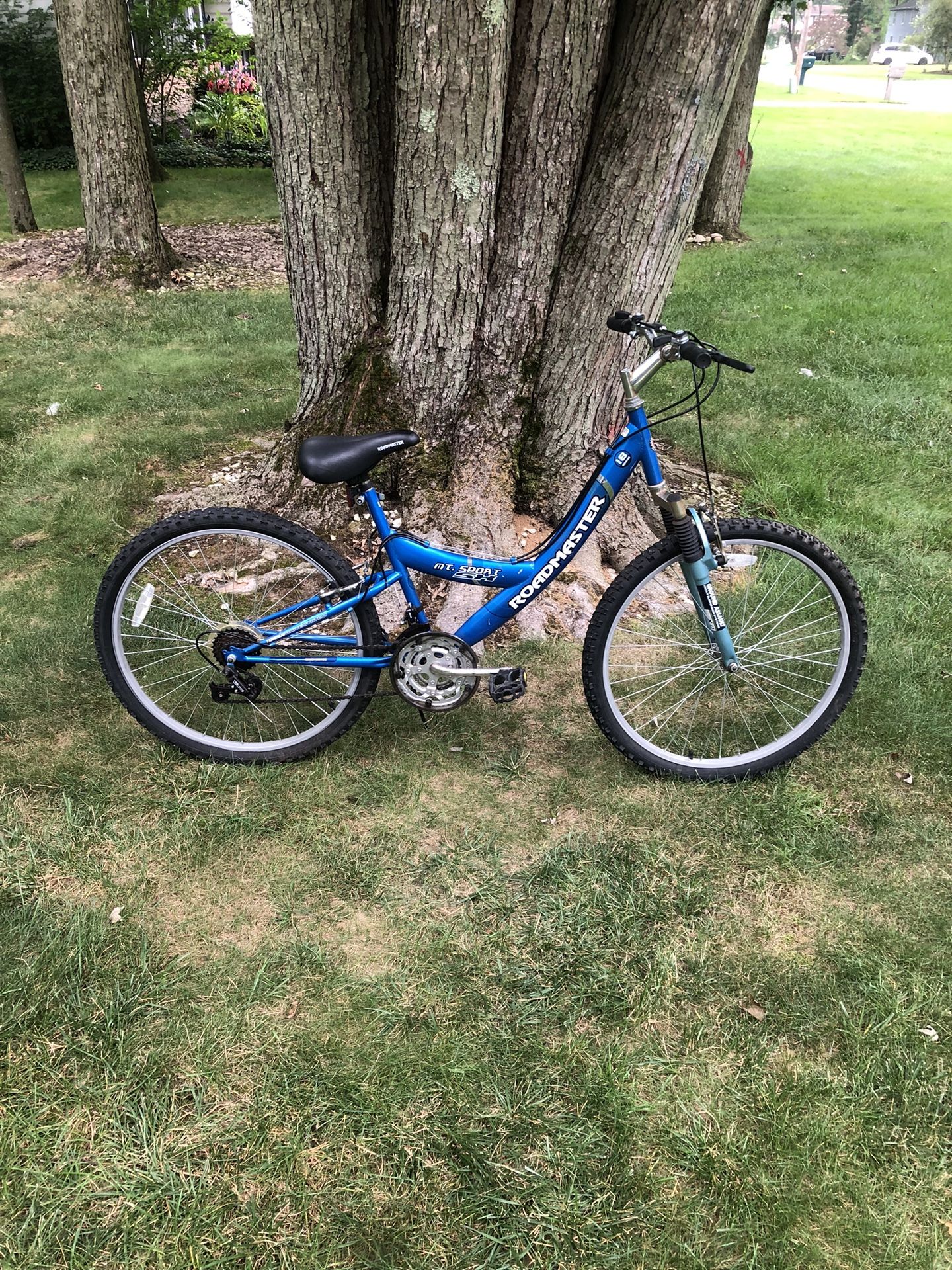 26” Mountain Bike (step Over)
