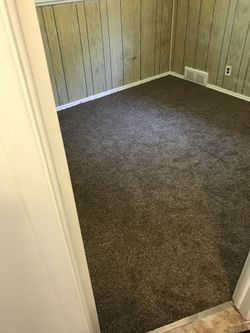Fresh New Carpet 2026