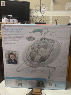 Fisher-price delux baby bouncer