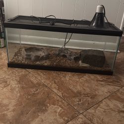 10 Gallon Tank