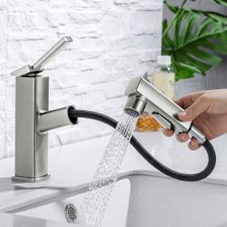 HANLIAN SINGLE BATHROOM PULL OUT FAUCET