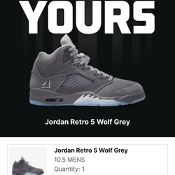 Jordan Retro 5 Wolf Grey