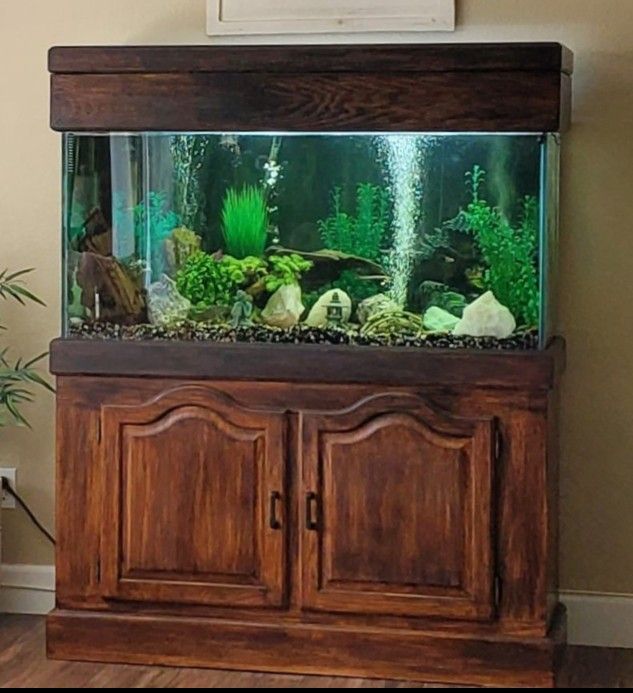 Aquarium 100 Gallon Custom Built