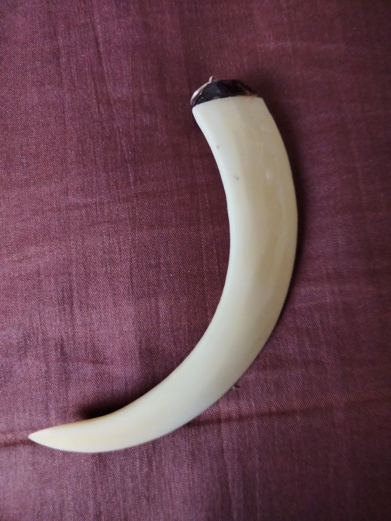 Javelin Boar Tusk Pendant