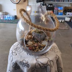Glass Terrarium