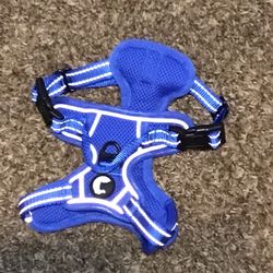 XS Blue Dog Harness