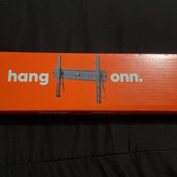 New TV Mount 